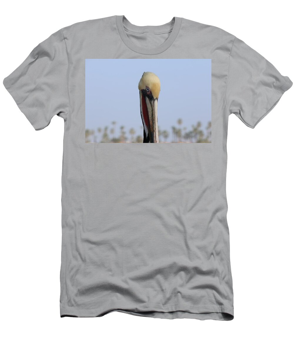Wild T-Shirt featuring the photograph Look Into My Eye by Christy Pooschke