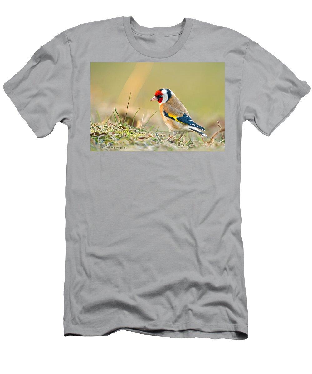 Goldfinch Looking Around T-Shirt featuring the photograph Looking around by Torbjorn Swenelius