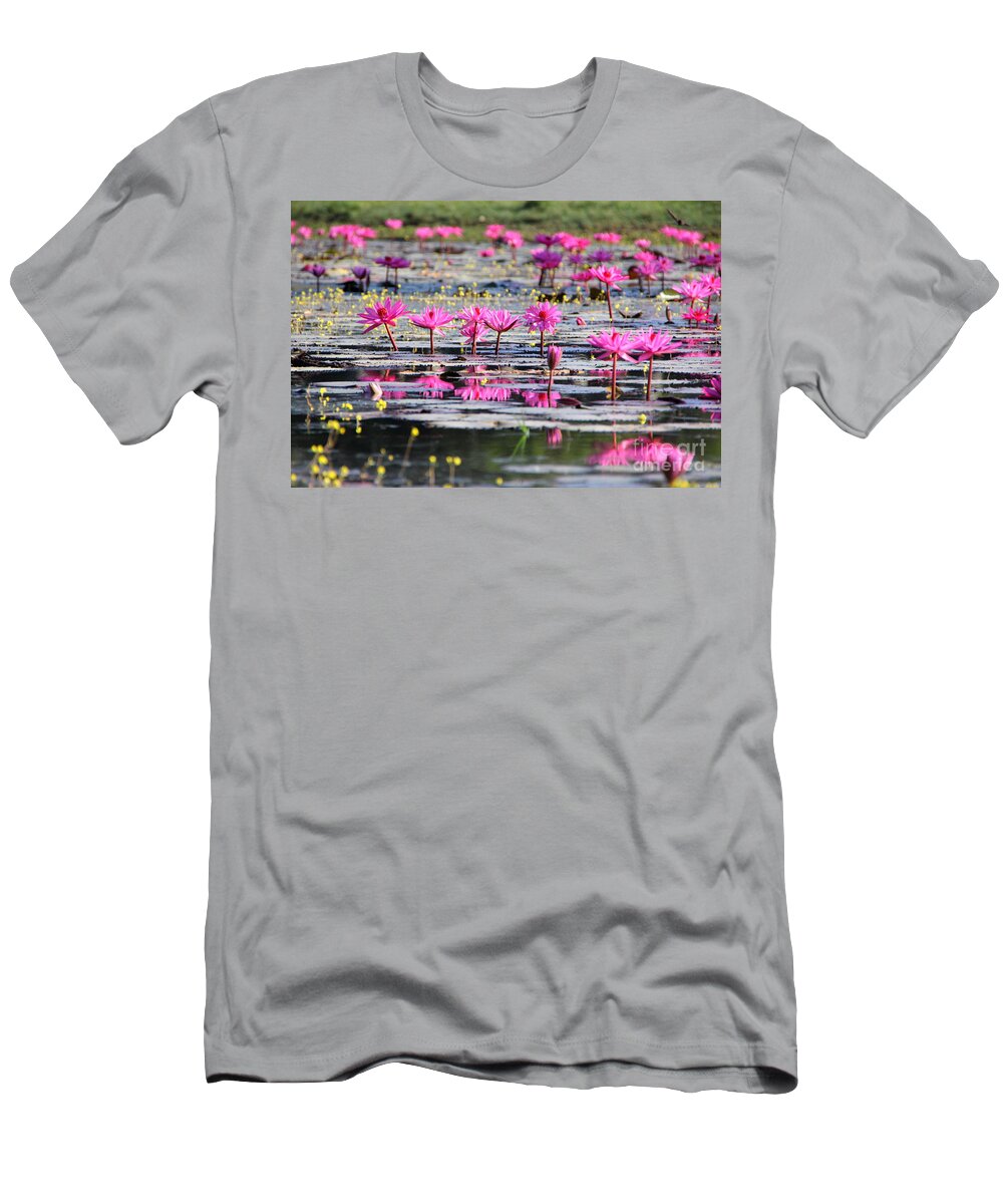 Aquatic T-Shirt featuring the photograph Lotus flowers by Amanda Mohler