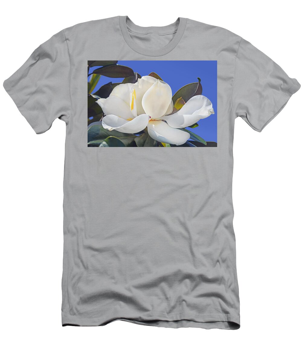 Flower T-Shirt featuring the photograph Magnolia by Frances Miller