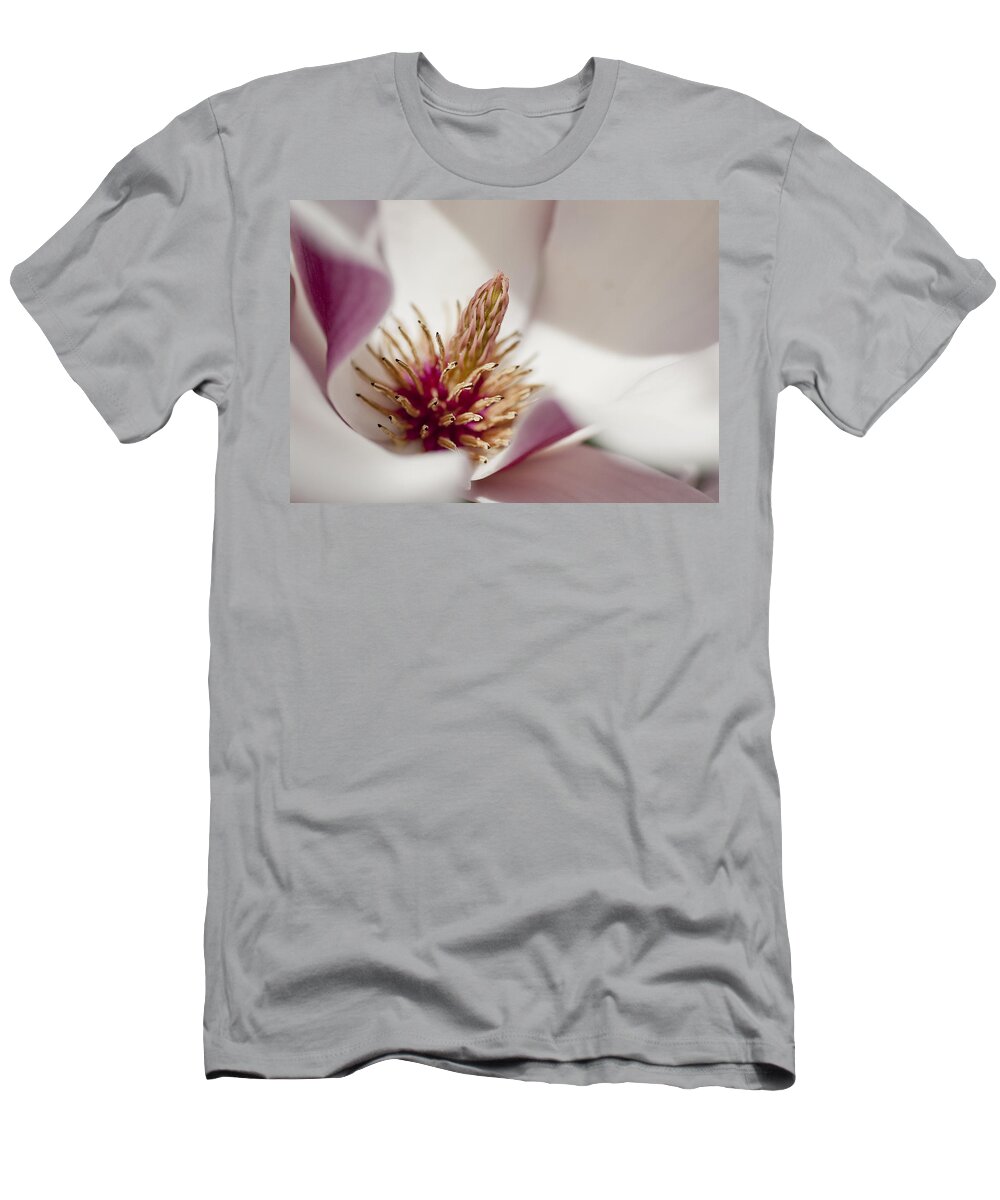 Arboretum T-Shirt featuring the photograph Magnolia by Steven Ralser