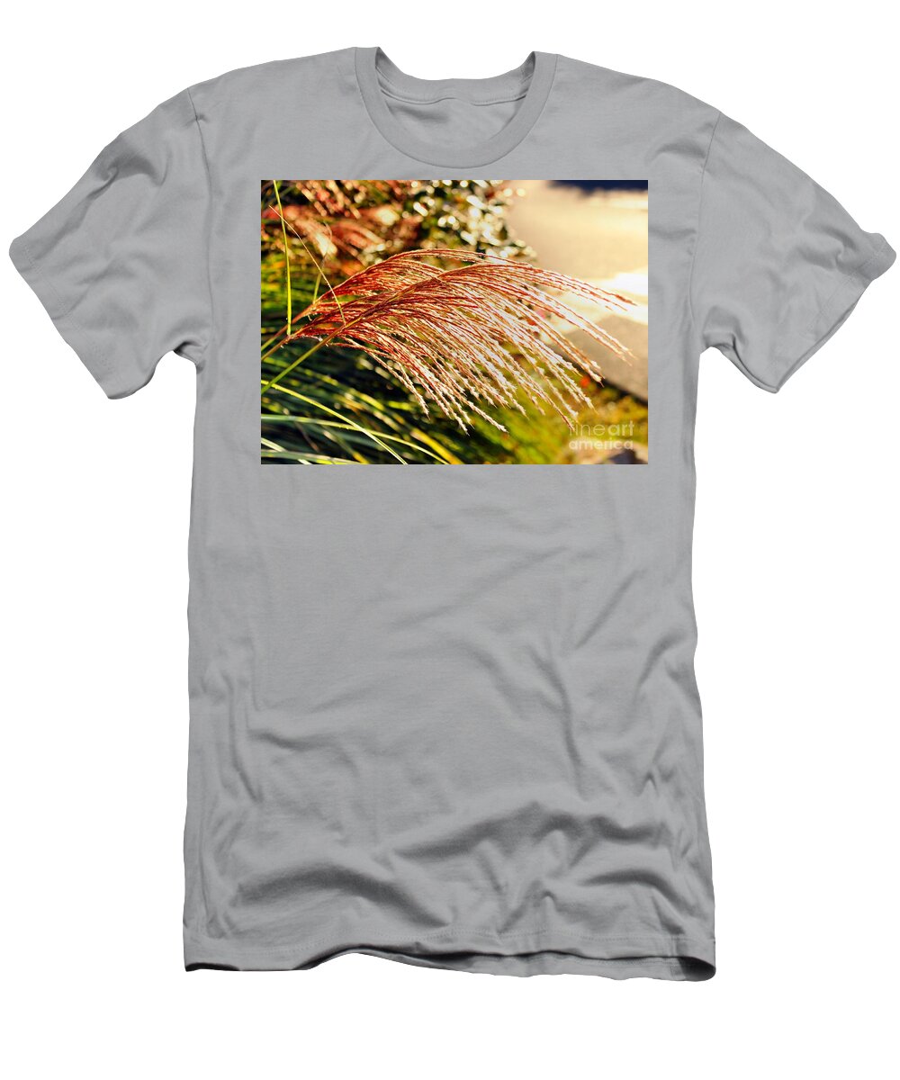 Maiden Seagrass T-Shirt featuring the photograph Maiden Seagrass Flower Head by Judy Palkimas