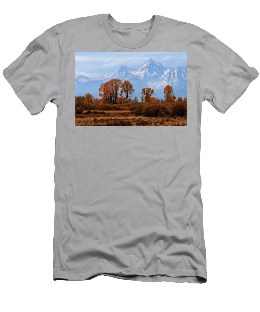 Autumn T-Shirt featuring the photograph Majestic Backdrop by David Andersen