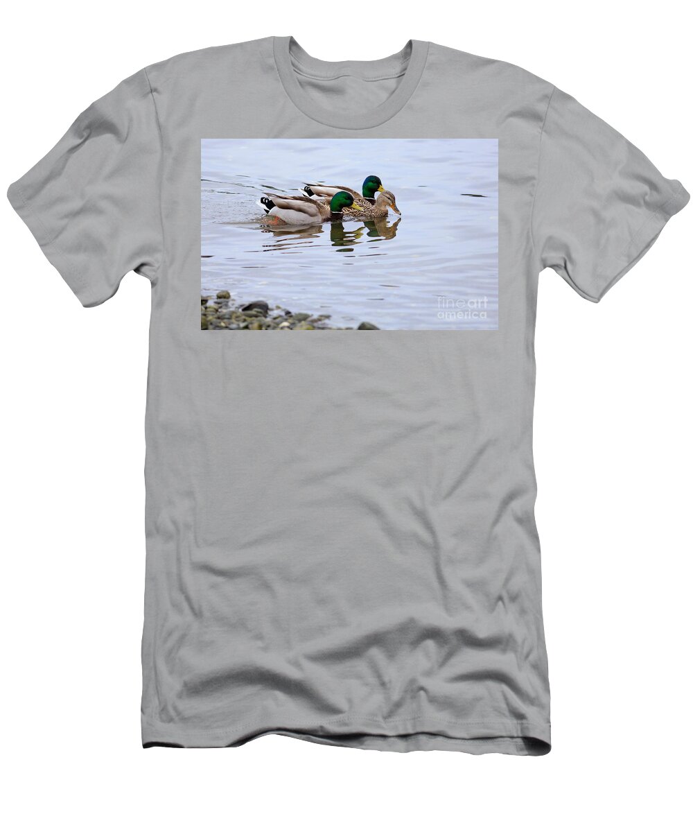 Mallard T-Shirt featuring the photograph Mallard ducks by Louise Heusinkveld