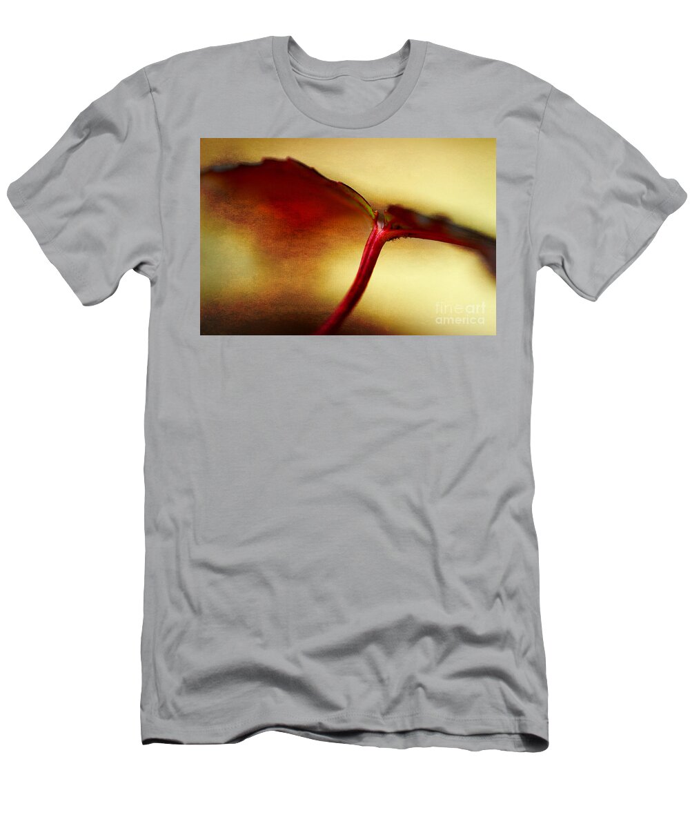 Maple Leaf T-Shirt featuring the photograph Maple Leaf by Michael Eingle