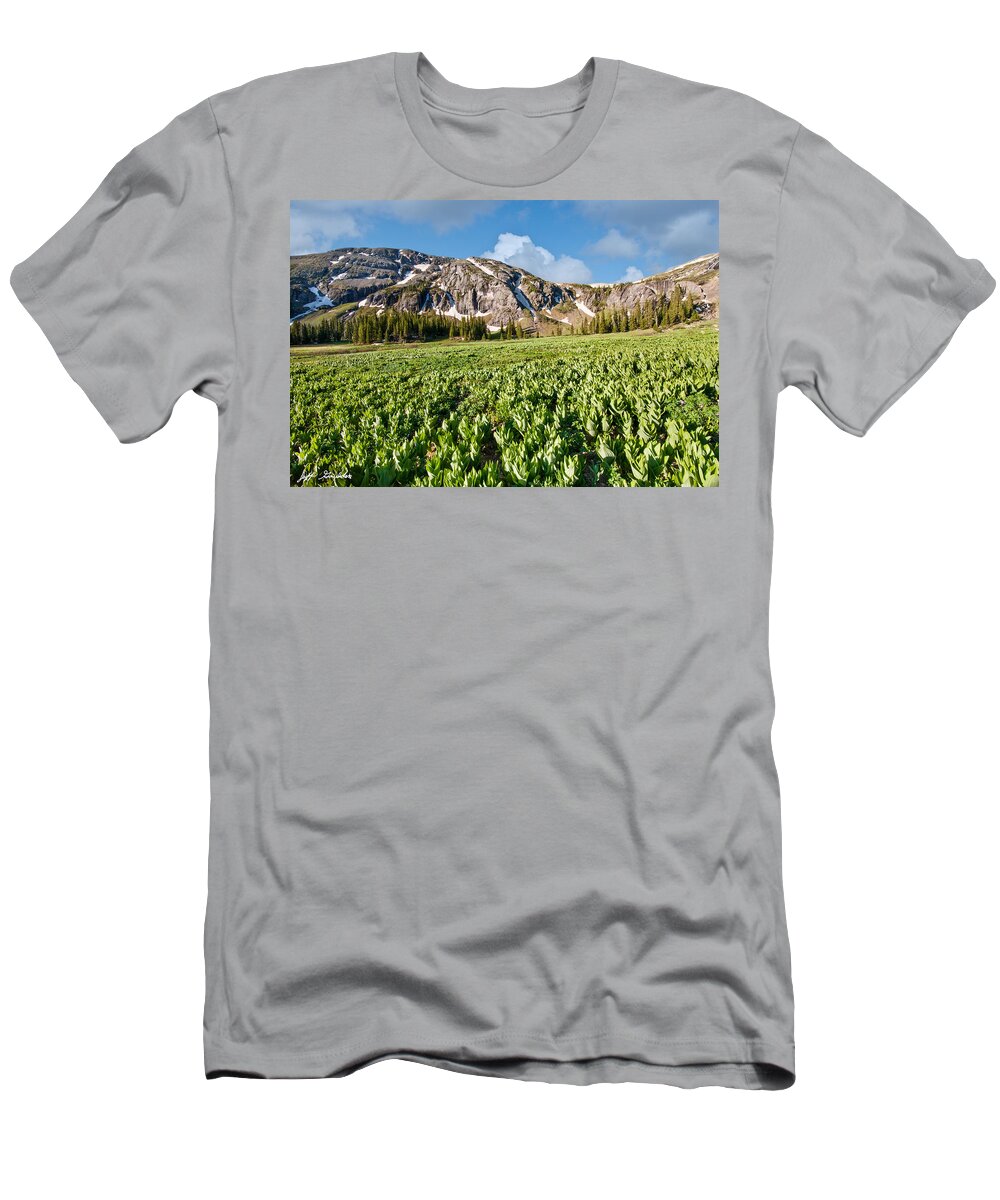Beauty In Nature T-Shirt featuring the photograph Meadow of False Hellebore at Ice Lakes Basin by Jeff Goulden