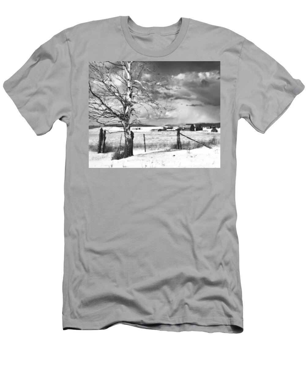 Snow T-Shirt featuring the photograph Mid-winter Moonlight by Theresa Tahara