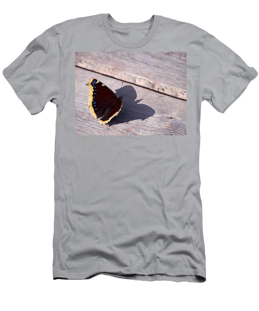 Finland T-Shirt featuring the photograph Mourning Cloak by Jouko Lehto