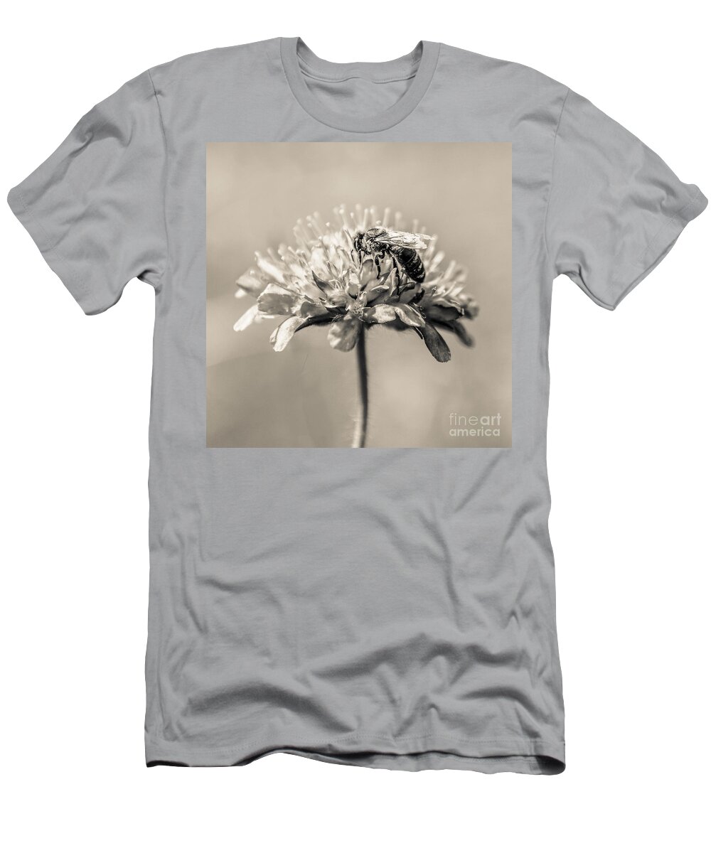 1x1 T-Shirt featuring the photograph Much To Do by Hannes Cmarits