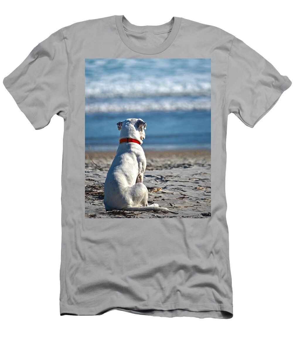 Dog T-Shirt featuring the photograph My First Gift by Sandi OReilly