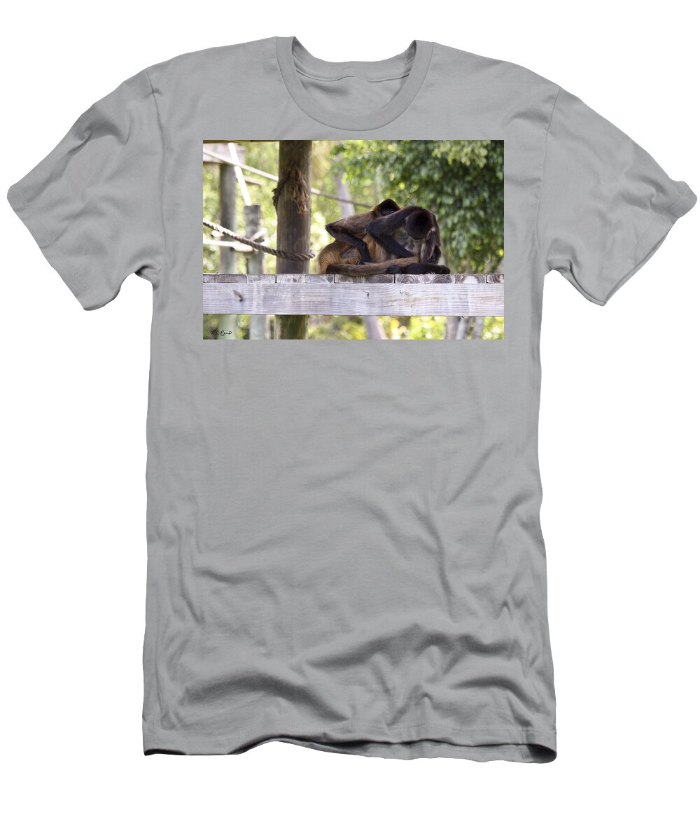 Florida T-Shirt featuring the photograph Naples Zoo - Spider Monkeys Playing by Ronald Reid