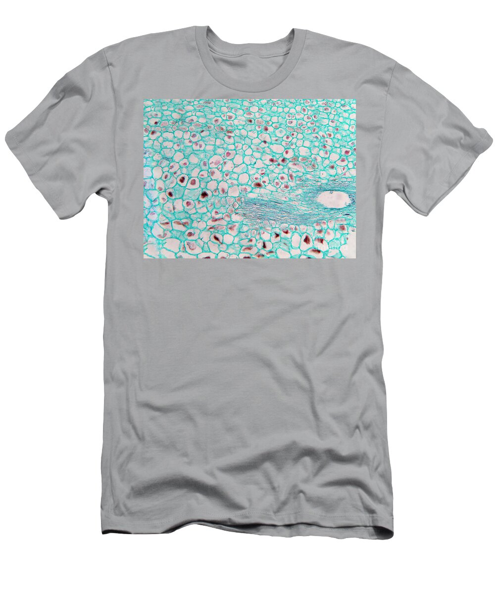Micrograph T-Shirt featuring the photograph Oak Gallnut With Pigmented Inclusions by Garry DeLong