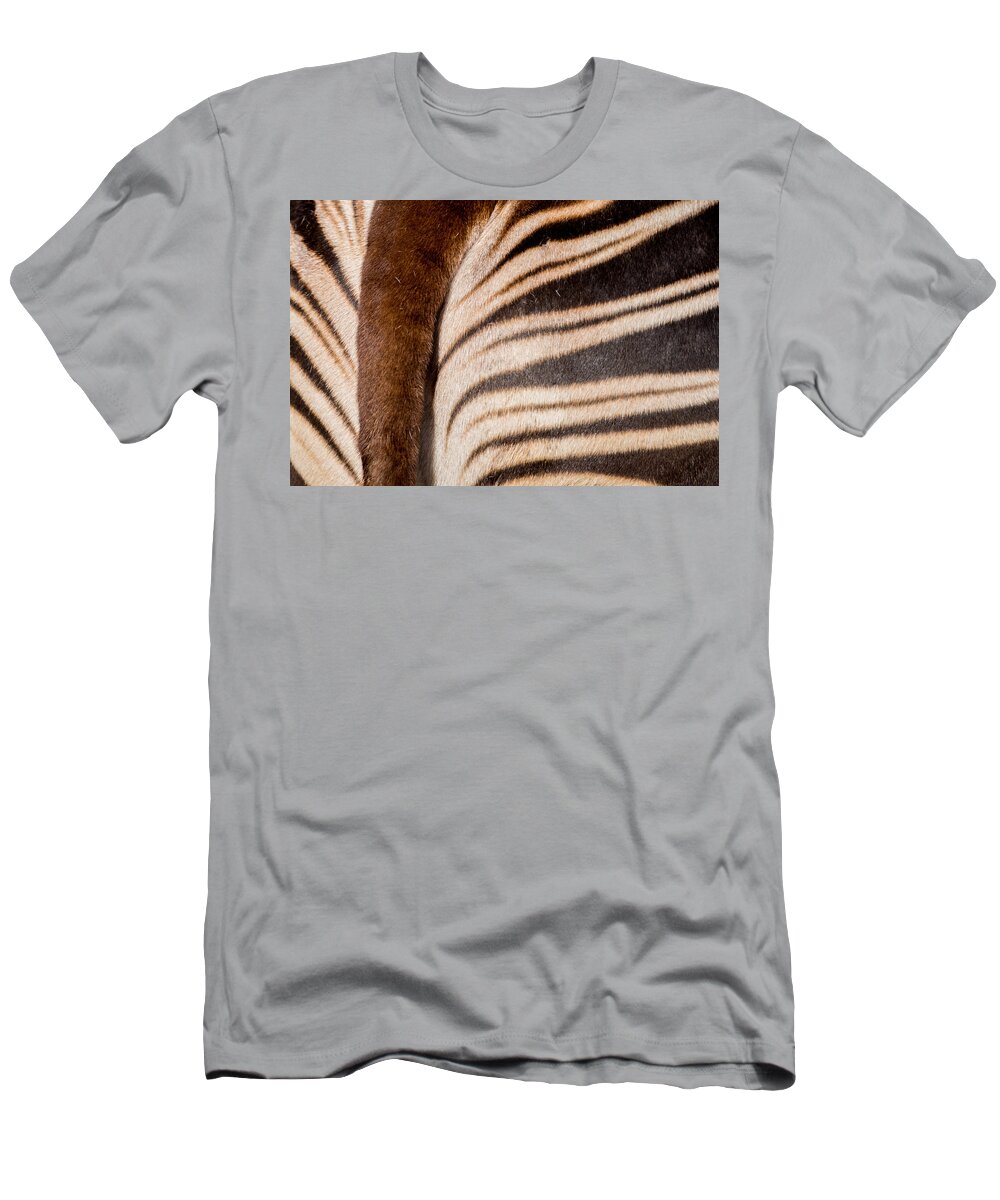 Stripes T-Shirt featuring the photograph Okapi Stripes by Ernest Echols