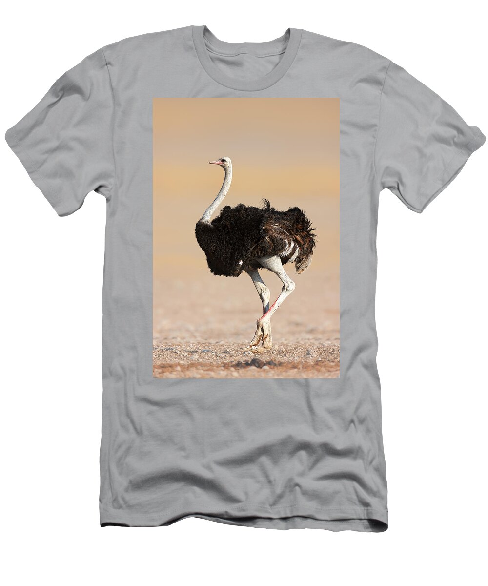 Wild T-Shirt featuring the photograph Ostrich by Johan Swanepoel