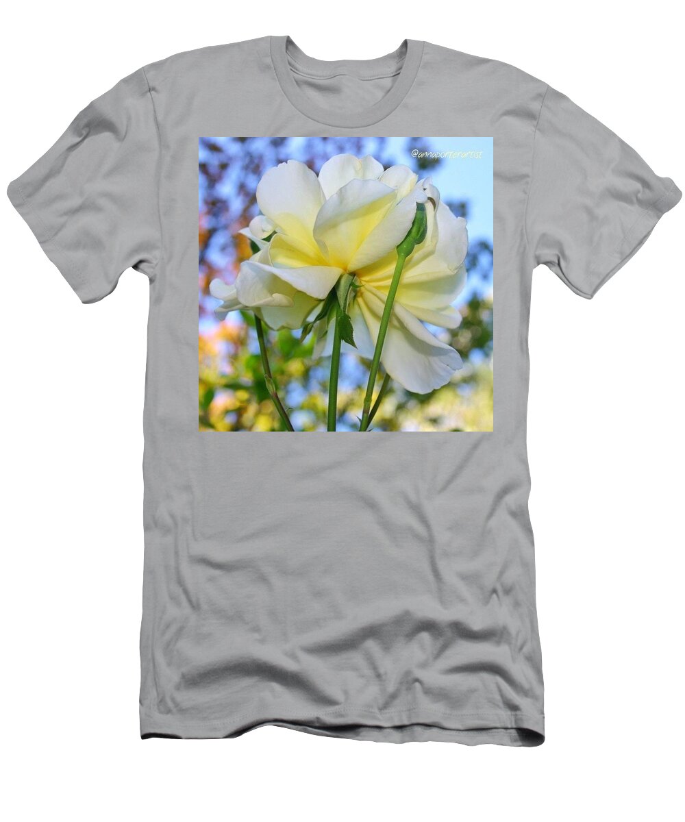 Flowers T-Shirt featuring the photograph Pale Yellow Rose and Blue Sky by Anna Porter