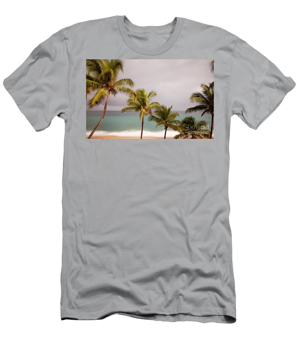 Beach T-Shirt featuring the photograph Palm Beach by Jo Ann Tomaselli
