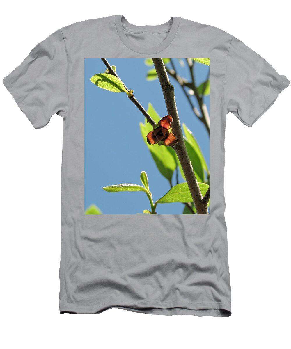 Nature T-Shirt featuring the photograph Pawpaw Blossom by Peggy Urban