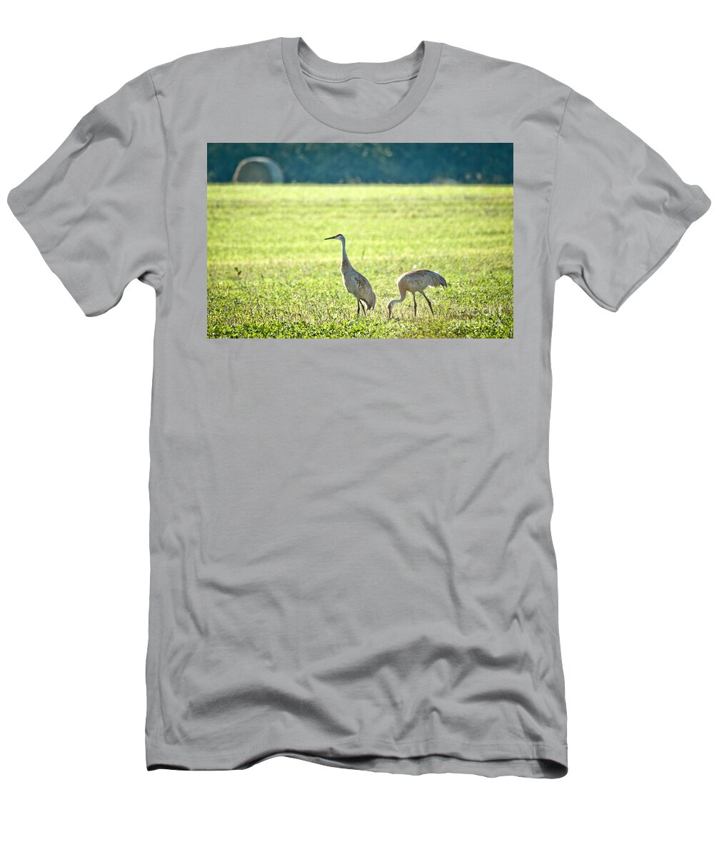 Sandhill Cranes T-Shirt featuring the photograph Peaceful Morning by Cheryl Baxter