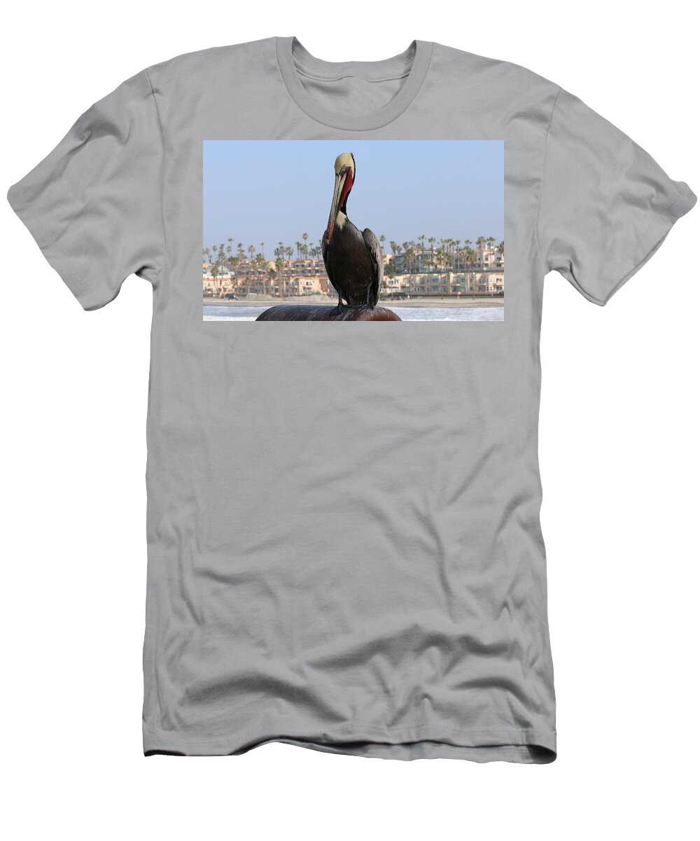 Wild T-Shirt featuring the photograph Pelican by Christy Pooschke