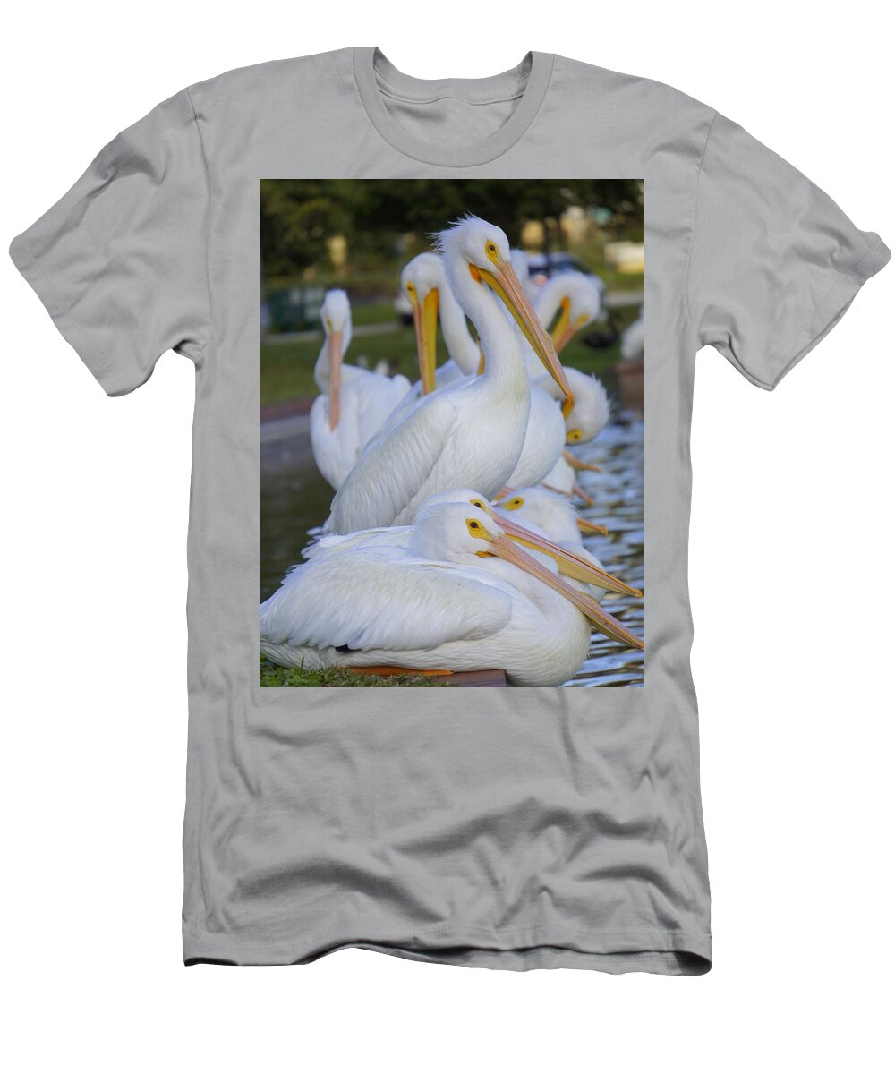 White Pelicans T-Shirt featuring the photograph Pelican Pile by Laurie Perry