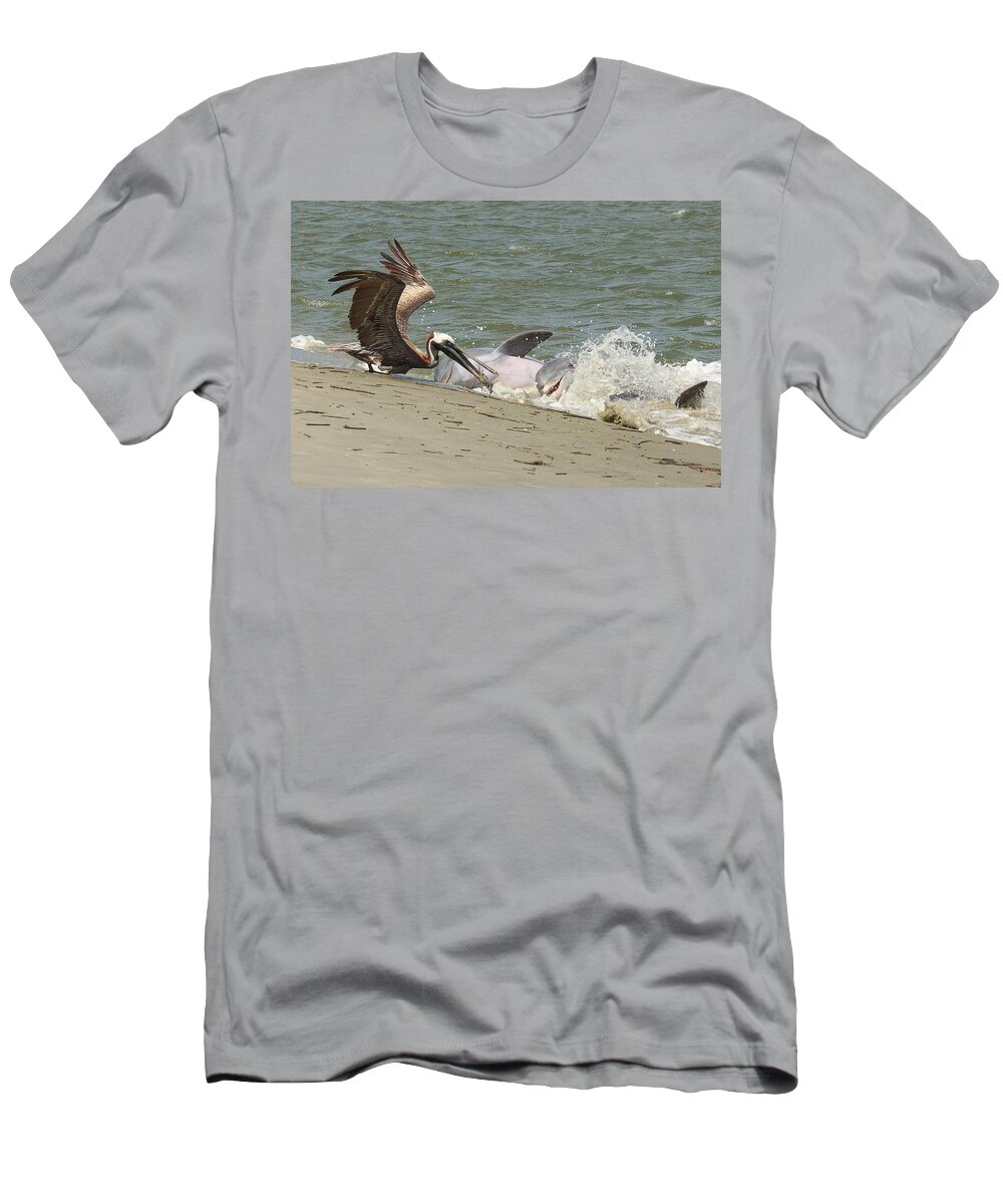 Pelican T-Shirt featuring the photograph Pelican Steals the Fish by Patricia Schaefer