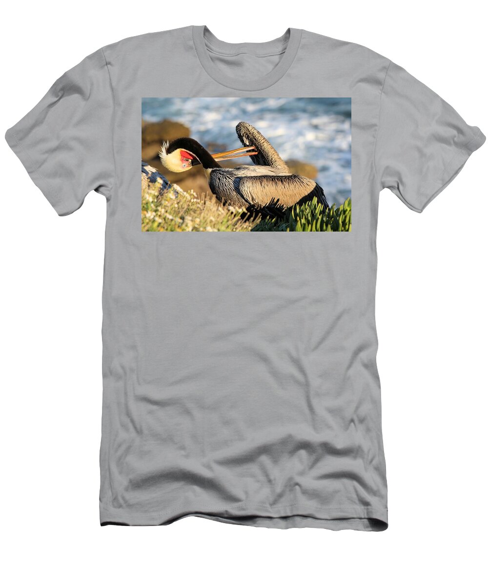 Pelican T-Shirt featuring the photograph Pelican Twisting by Jane Girardot