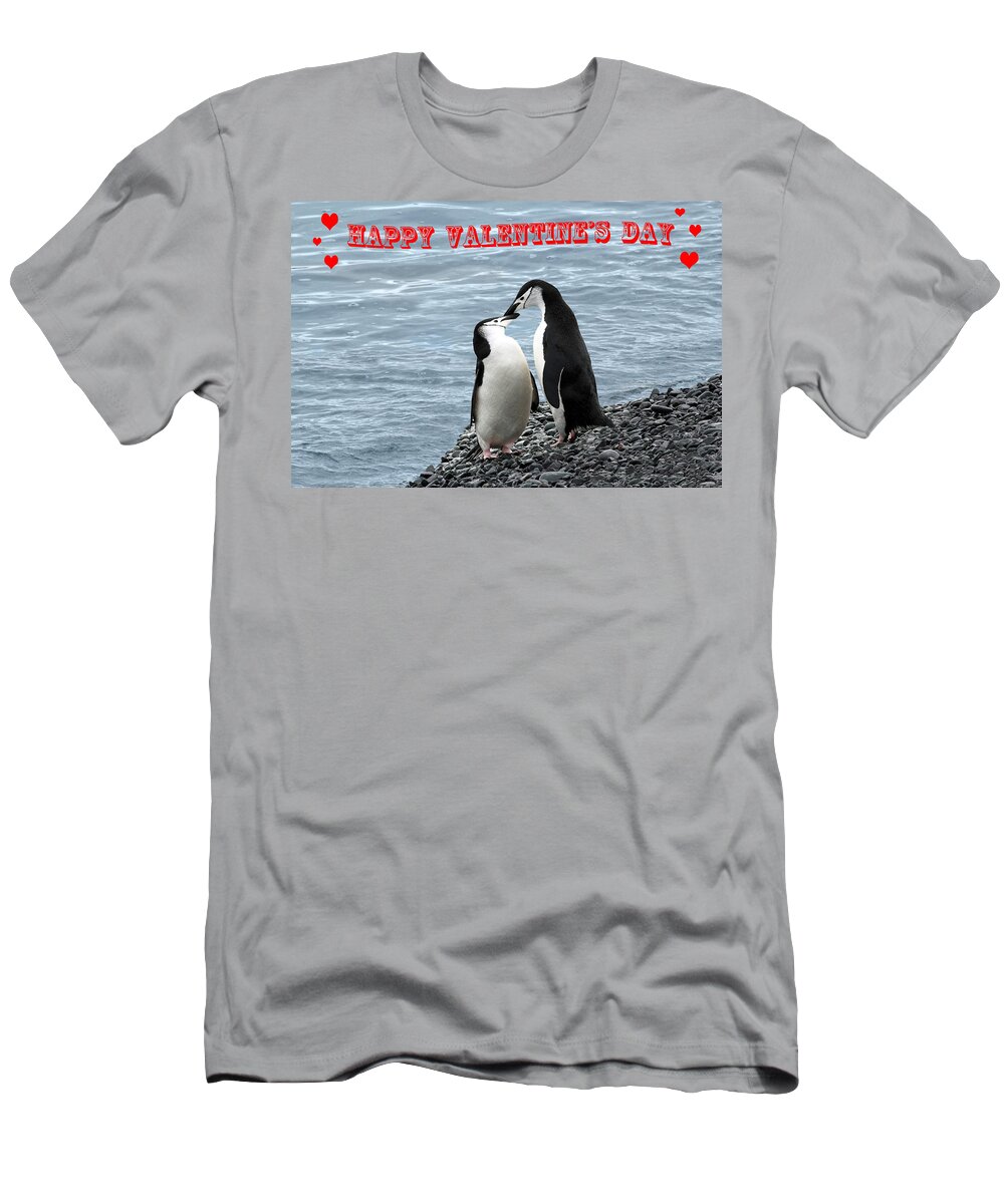 Valentine T-Shirt featuring the photograph Penguin Valentine's Card by Ginny Barklow
