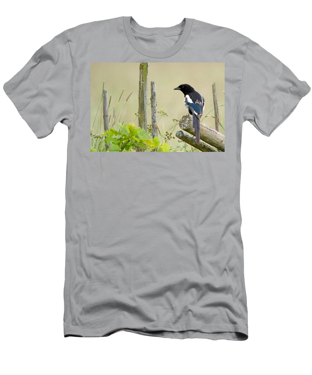 Pica Pica T-Shirt featuring the photograph Pica pica by Torbjorn Swenelius