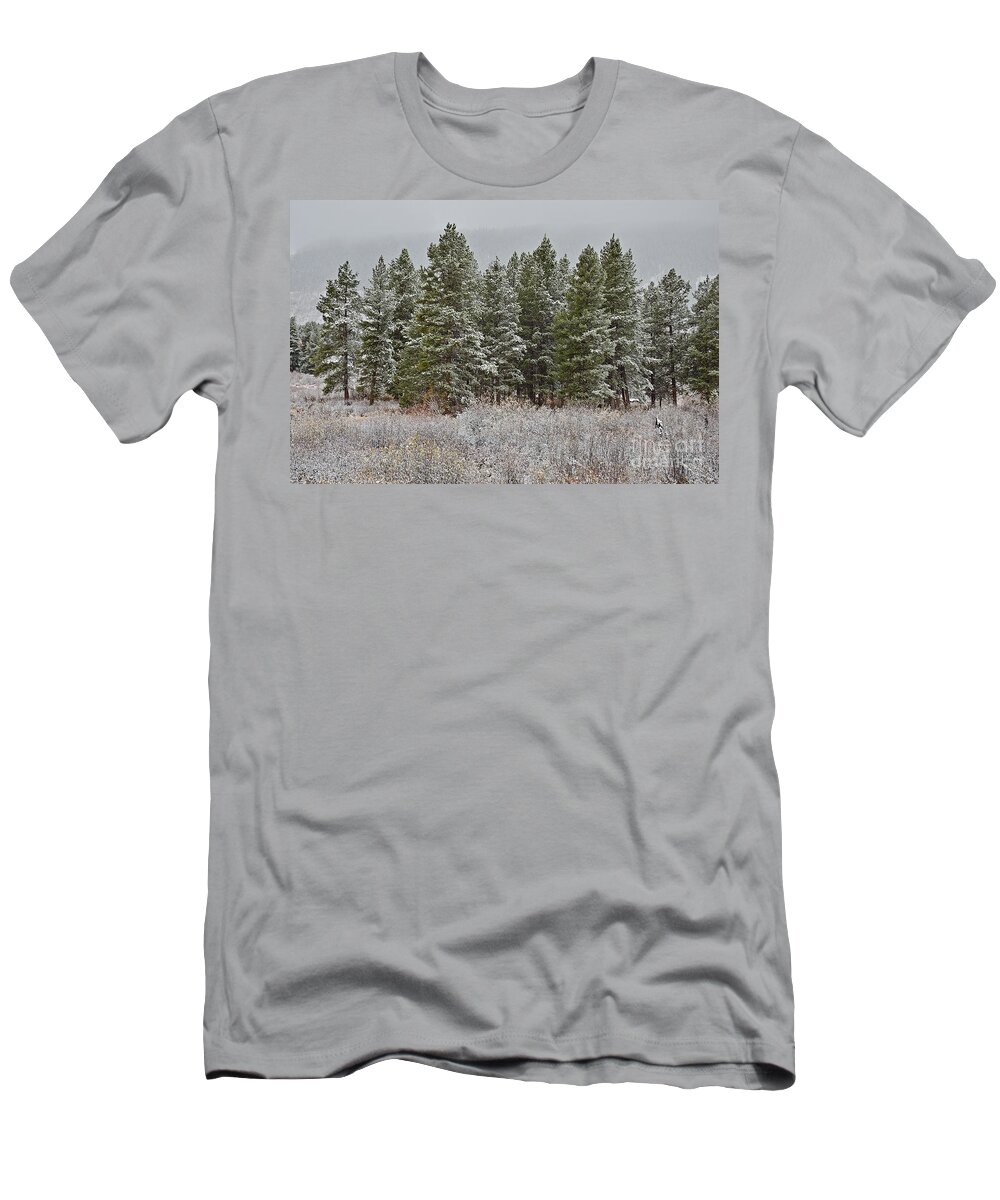 Pine T-Shirt featuring the photograph Pine Flurries by Kelly Black