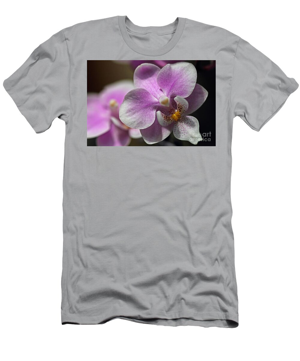 Pink And White Orchid T-Shirt featuring the photograph Pink and White Orchid by Meg Rousher
