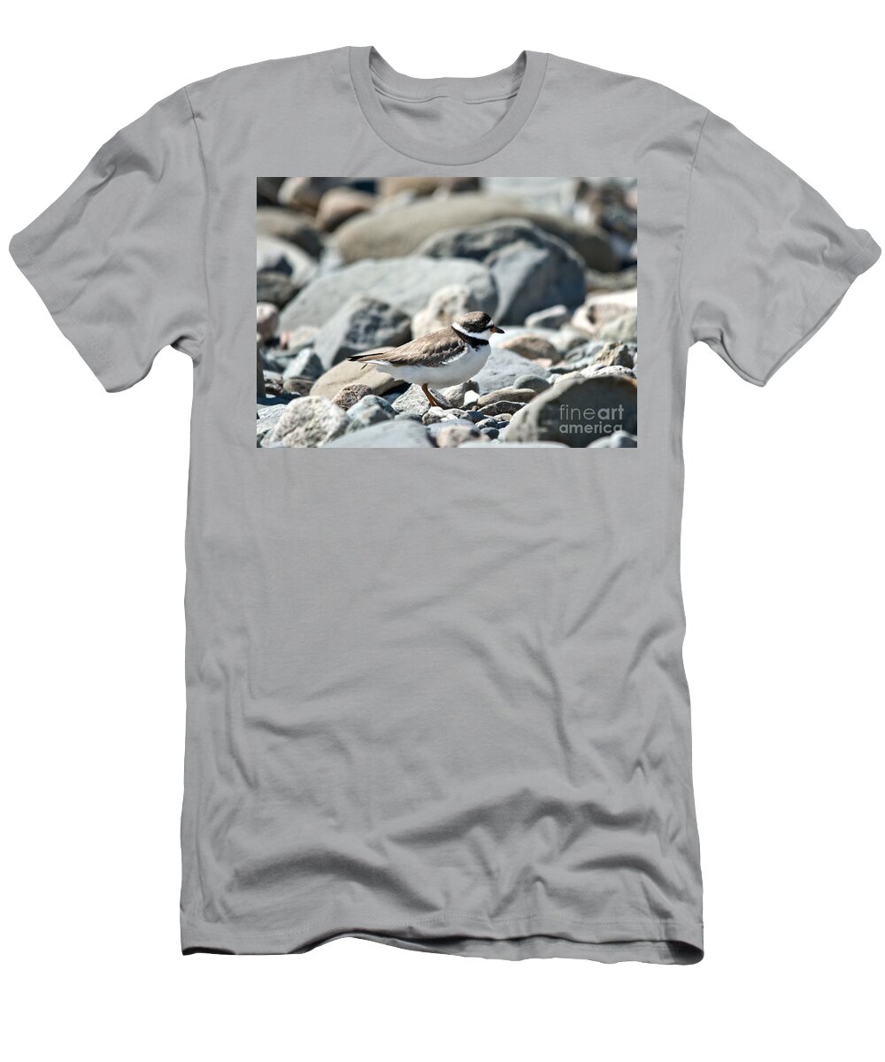  T-Shirt featuring the photograph Plover on the go by Cheryl Baxter