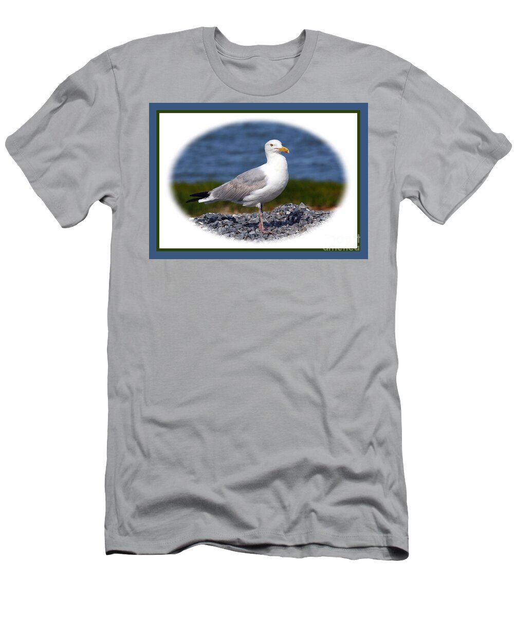 Seagulls T-Shirt featuring the photograph Portrait Pose by Geoff Crego
