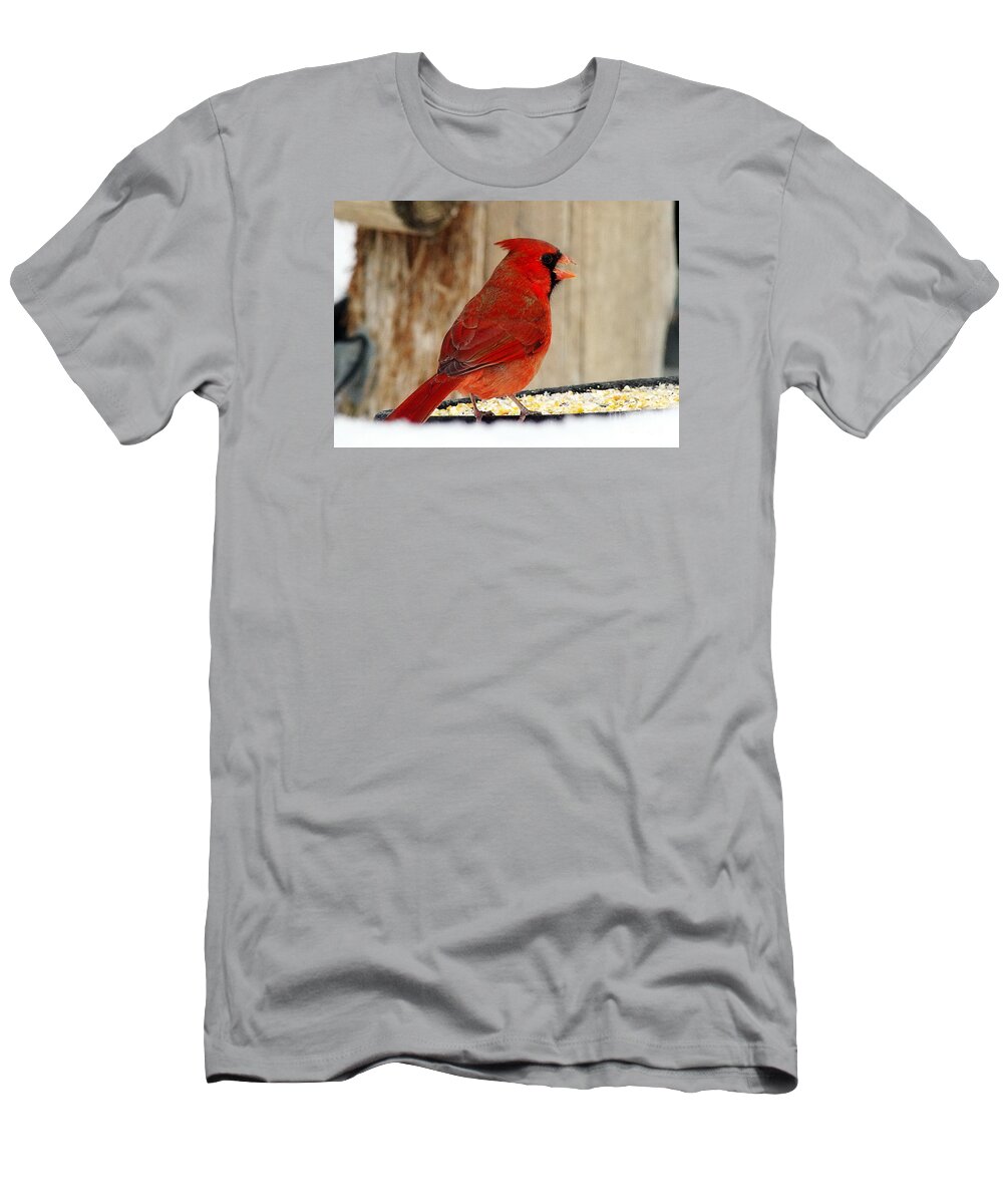 Cardinal T-Shirt featuring the photograph Pretty Boy by Andrea Kollo