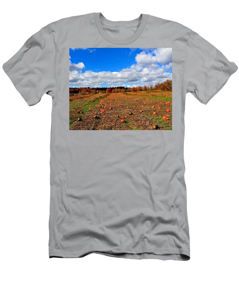 Pumpkins T-Shirt featuring the photograph Pumpkin Patch at Rota Springs by Michael Saunders