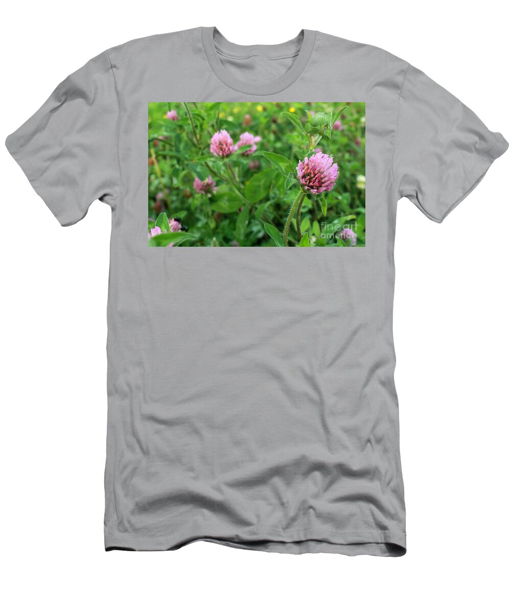 Trifolium T-Shirt featuring the photograph Purple Clover Wild Flower in Midwest United States meadow by Adam Long