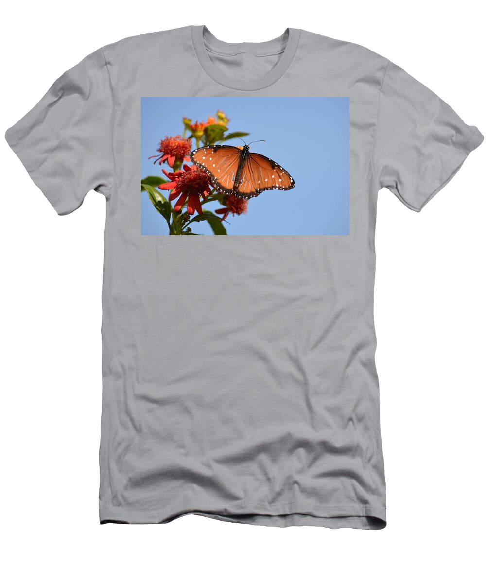 Queen Butterfly T-Shirt featuring the photograph Queen Butterfly by Debra Martz