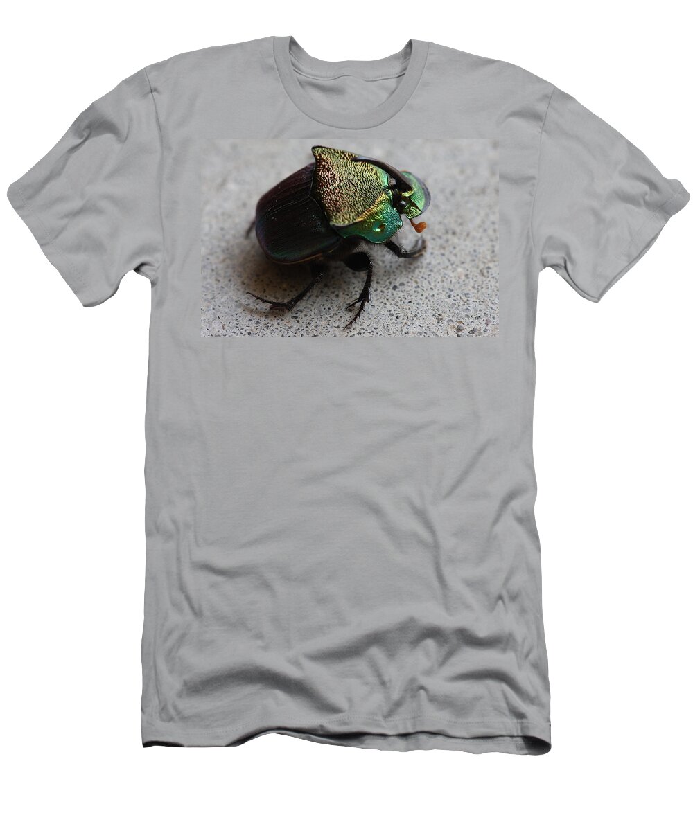 Rainbow Scarab T-Shirt featuring the photograph Rainbow Scarab Phanaeus vindex A Dung Beetle by Daniel Reed