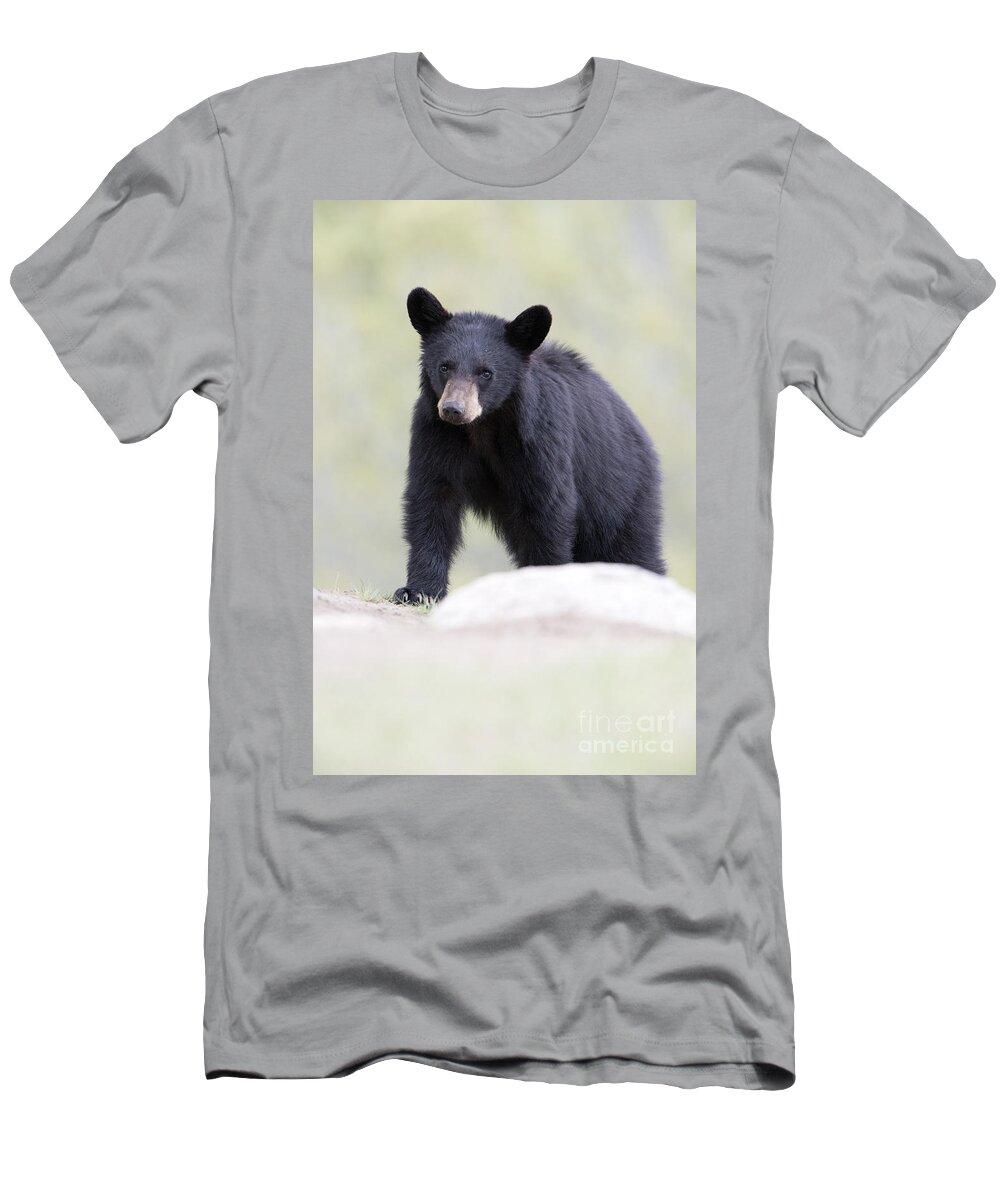 Black Bear T-Shirt featuring the photograph Ready or not here I come by Deby Dixon