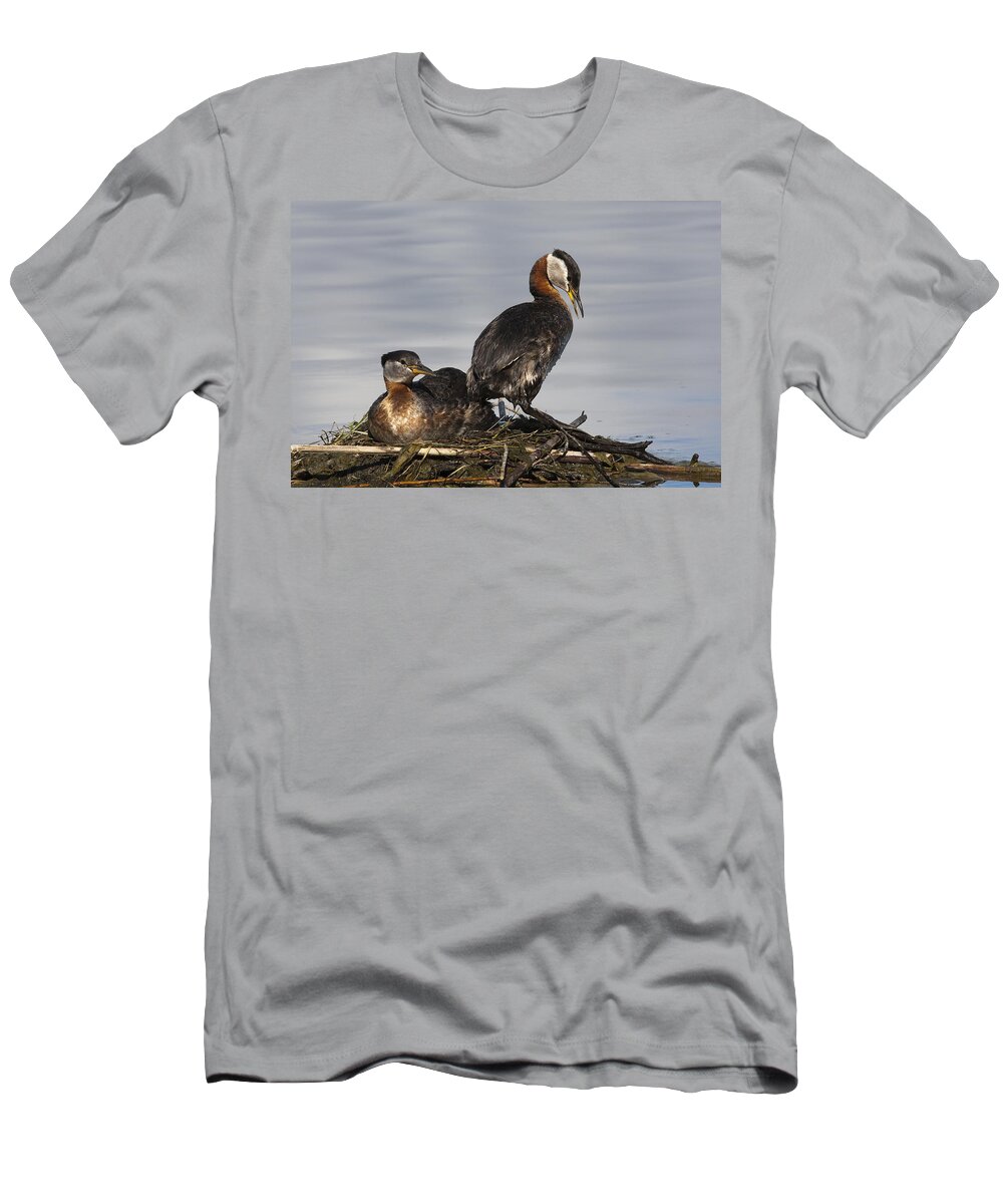 Feb0514 T-Shirt featuring the photograph Red-necked Grebes At Nest Bc Canada by Tom Vezo