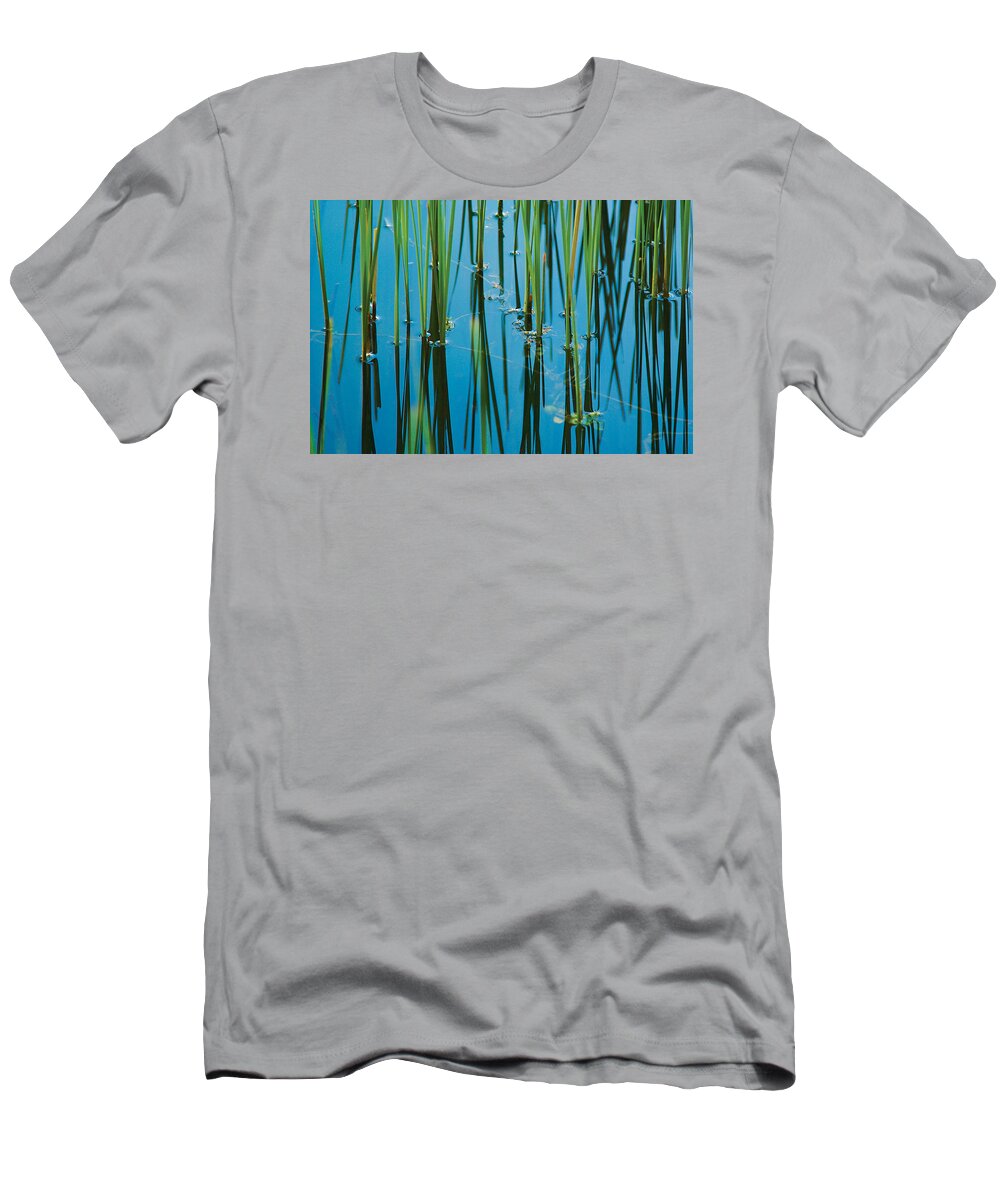 Floral Photographs T-Shirt featuring the photograph Reedy Or Not by David Davies