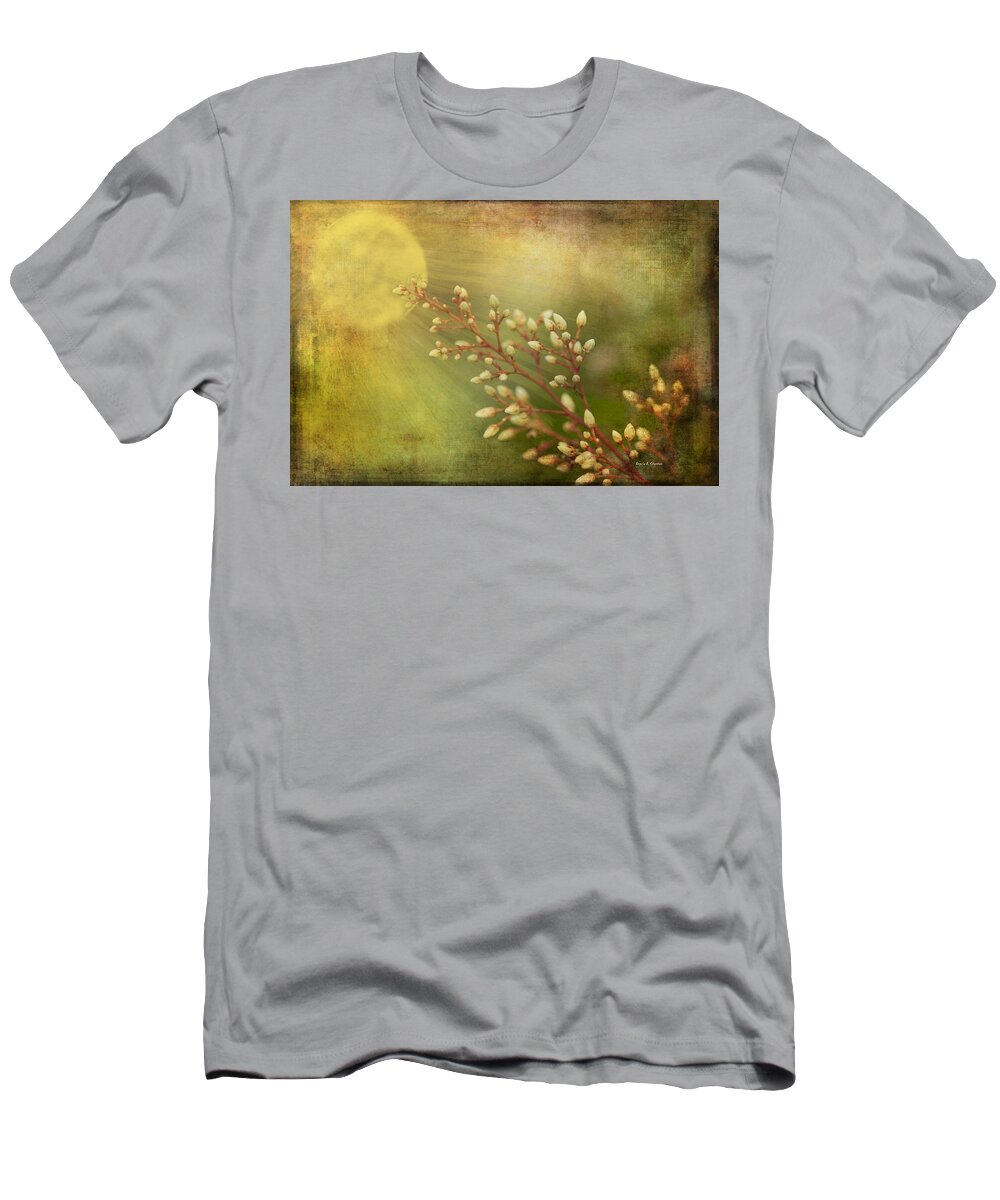 Sun T-Shirt featuring the photograph Remember Spring and Summer by Angela Stanton