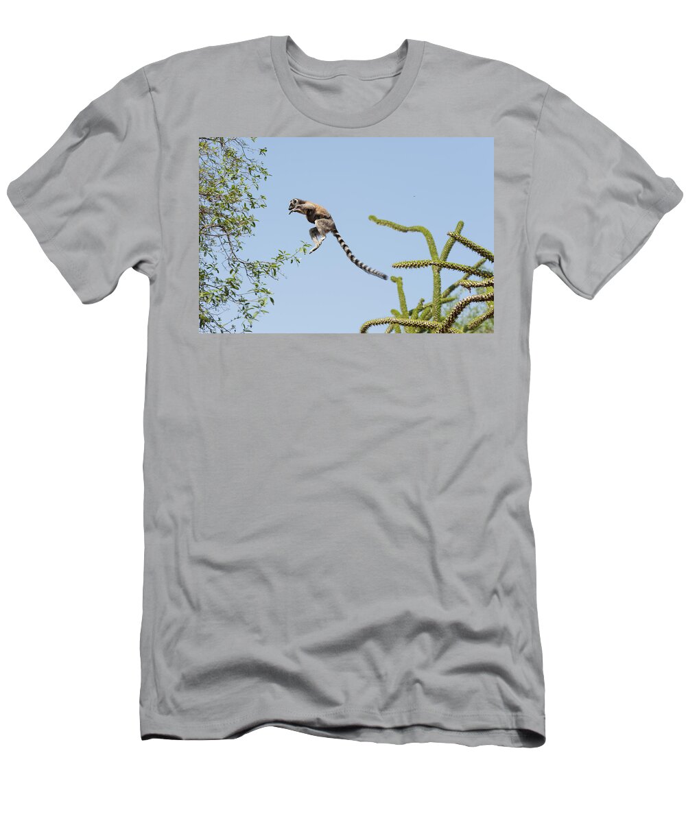 536467 T-Shirt featuring the photograph Ring-tailed Lemur And Baby Leaping by Suzi Eszterhas