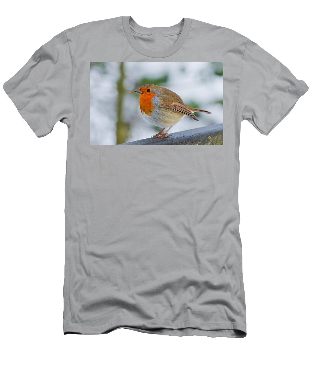 Robin T-Shirt featuring the photograph Robin 3 by Scott Carruthers