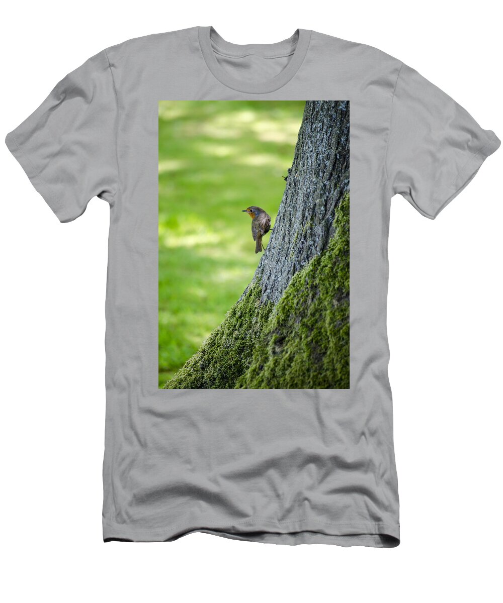 Garden T-Shirt featuring the photograph Robin At Rest by Spikey Mouse Photography