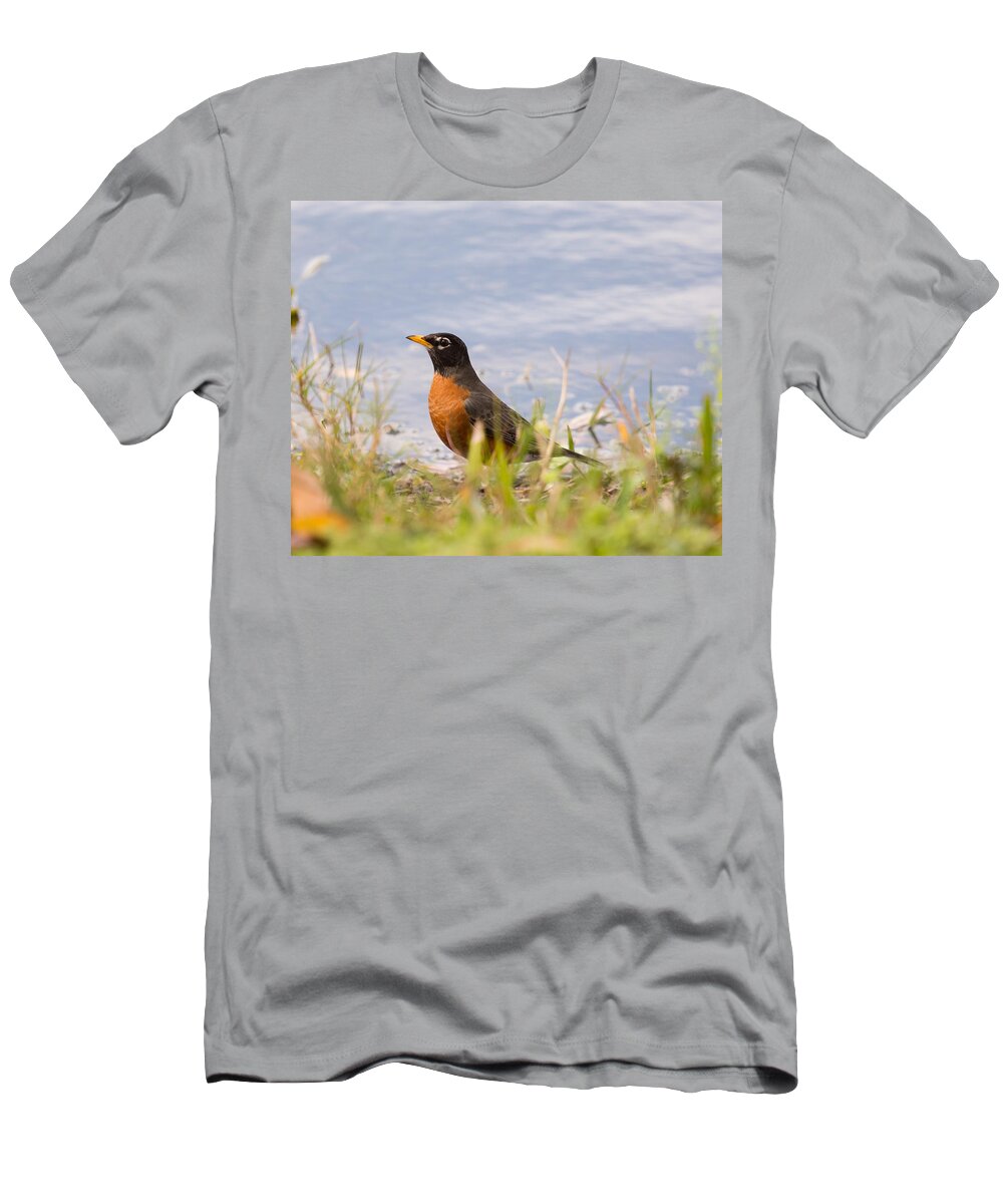 Bird T-Shirt featuring the photograph Robin Viewing Surroundings by John M Bailey