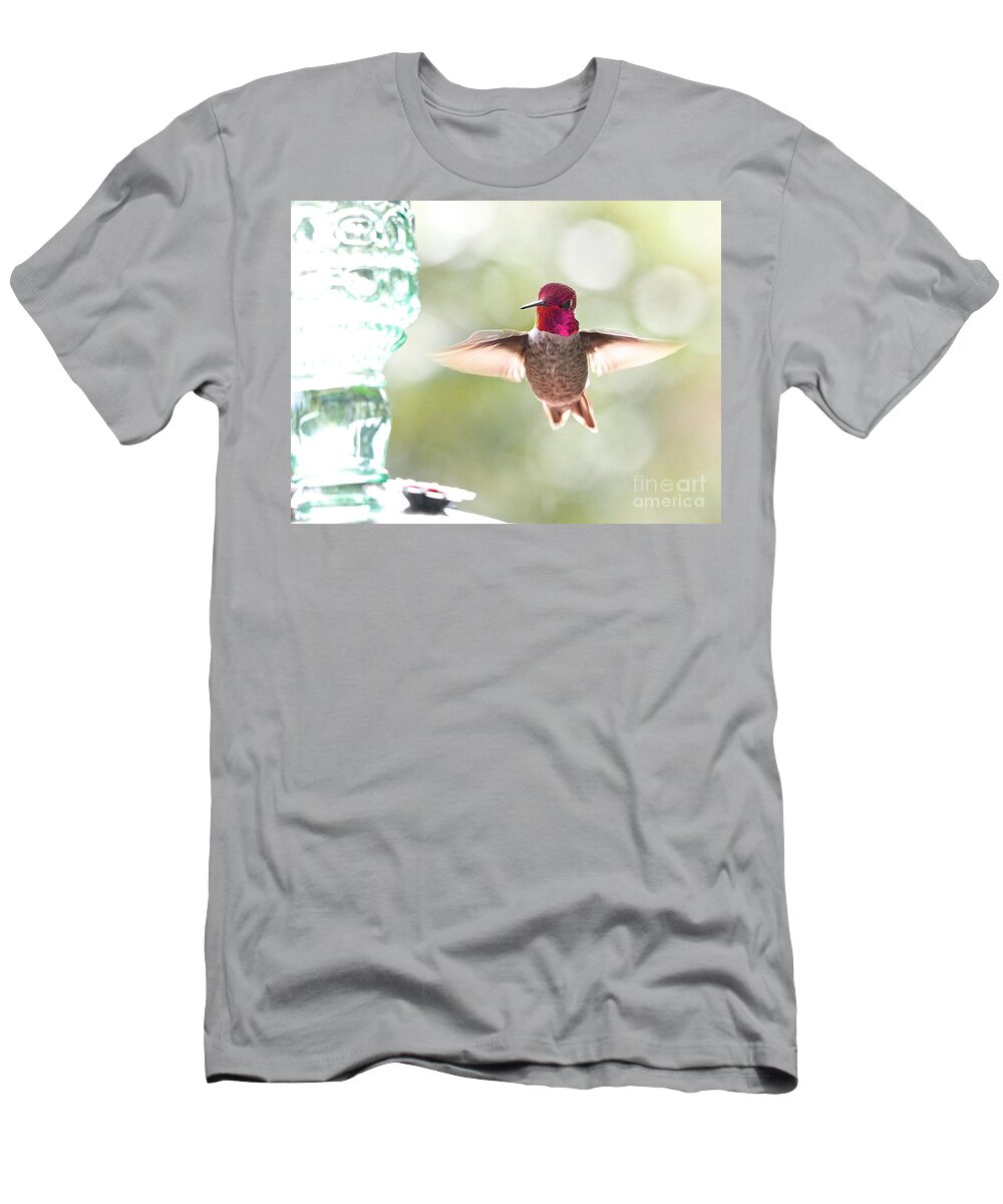 Birds T-Shirt featuring the photograph Rufous Hummingbird by Parrish Todd