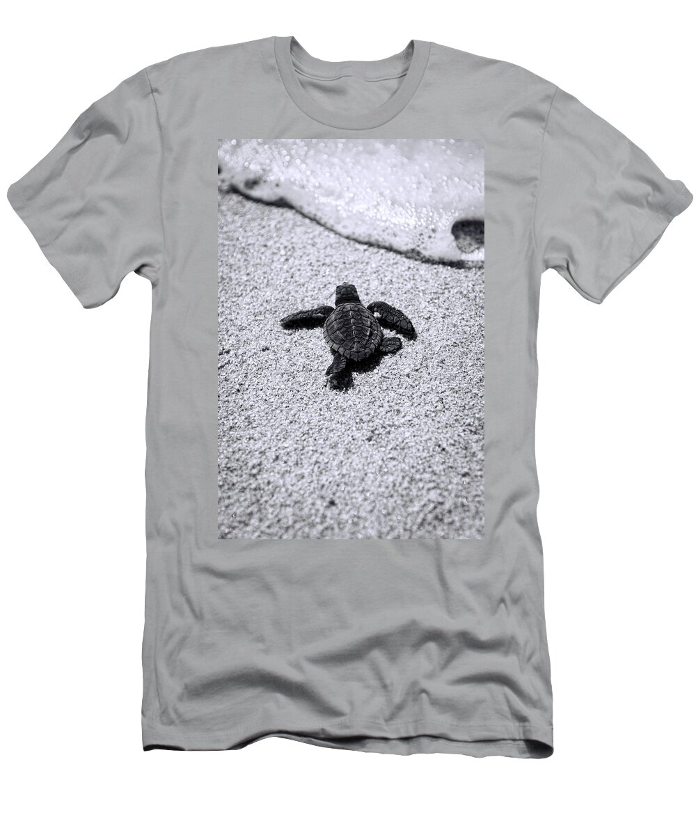 Baby Loggerhead T-Shirt featuring the photograph Sea Turtle by Sebastian Musial