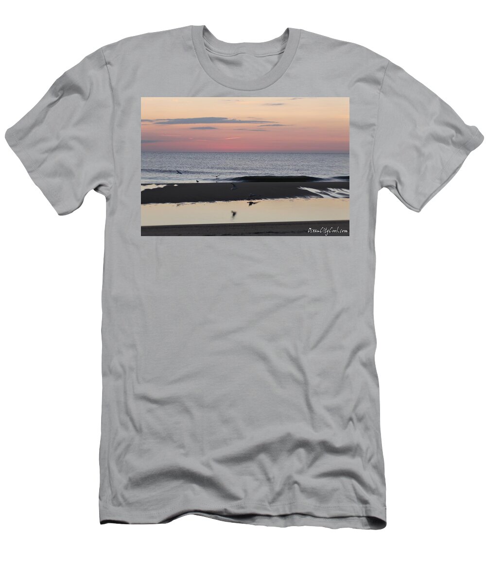 Animals T-Shirt featuring the photograph Seagulls Sea and Sunrise by Robert Banach