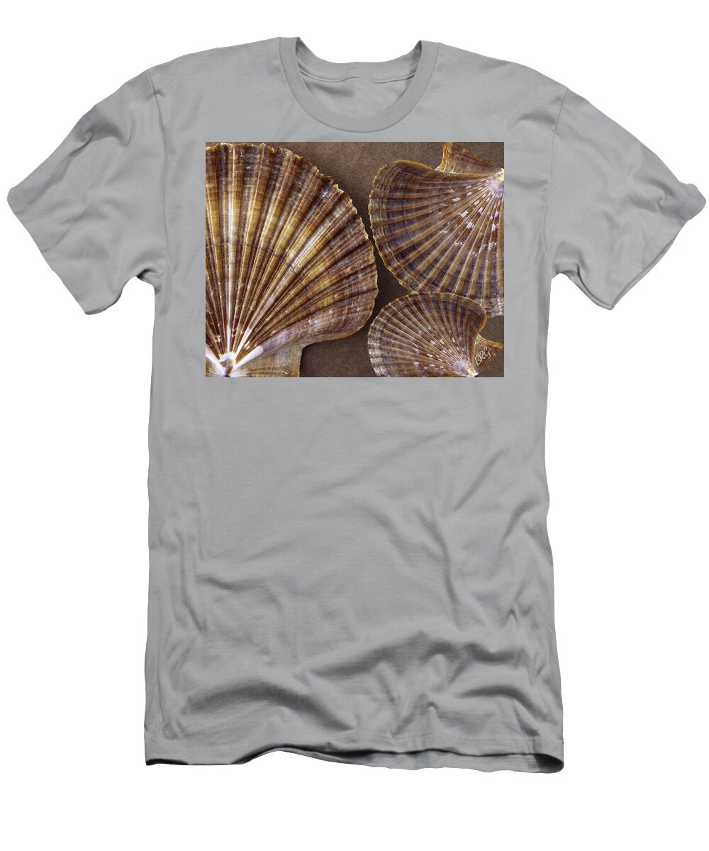 Seashell T-Shirt featuring the photograph Seashells Spectacular No 7 by Ben and Raisa Gertsberg
