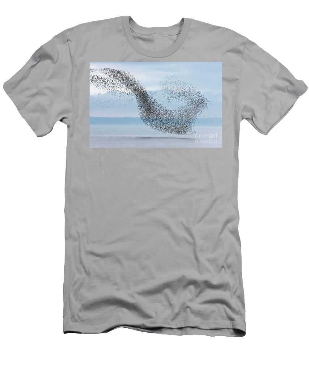 00536667 T-Shirt featuring the photograph Semipalmated Sandpipers Flying Over Bay by Yva Momatiuk and John Eastcott